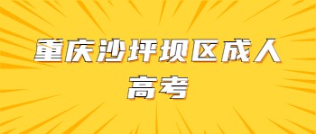 重庆沙坪坝成人高考报名