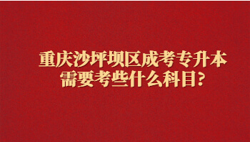 重庆沙坪坝区成考专升本需要考些什么科目?