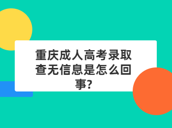 重庆成考 重庆成考查询