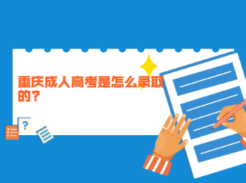 重庆成考网 重庆成考录取