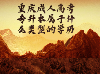 重庆成考专升本学历的类型