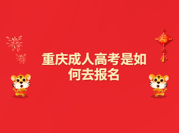 重庆成考 重庆成考报名