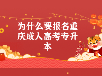 重庆成考 重庆成考专升本