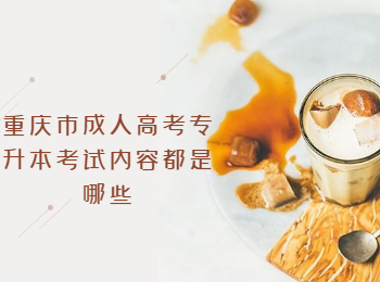 重庆市成人高考专升本考试内容