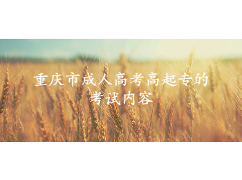 重庆市成人高考高起专
