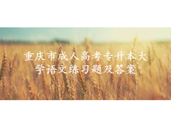 重庆市成人高考专升本大学语文