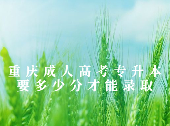 重庆成人高考 重庆成人高考专升本