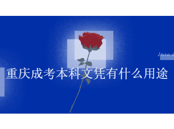 重庆成考本科文凭 重庆成考本科