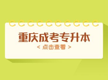 重庆成人高考
