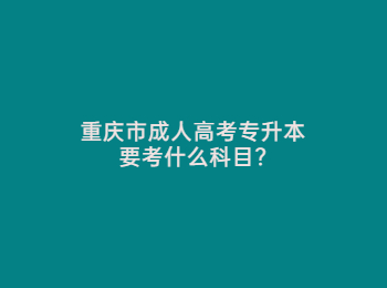 重庆市成人高考专升本